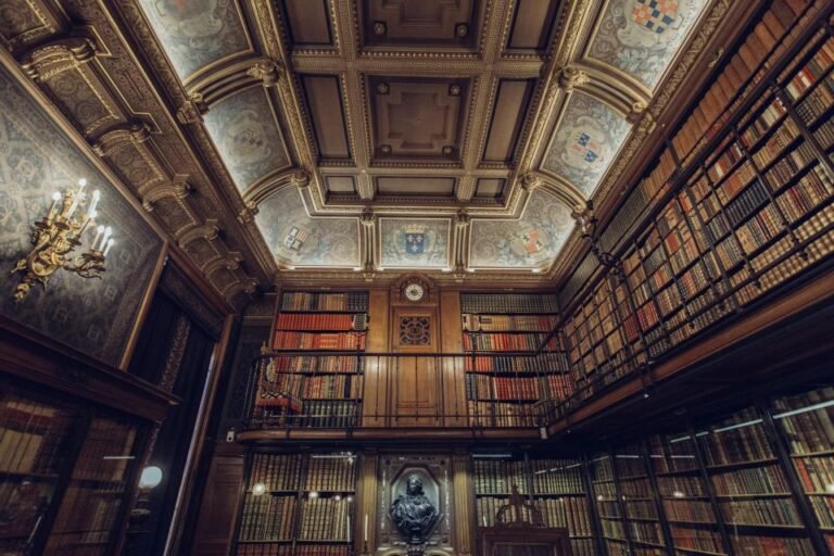 Rayonnages d’une bibliothèque ancienne en enfilade sous une voûte ornée